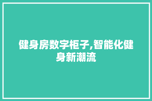 健身房数字柜子,智能化健身新潮流