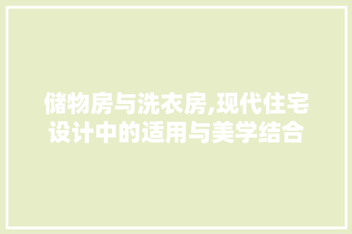 储物房与洗衣房,现代住宅设计中的适用与美学结合
