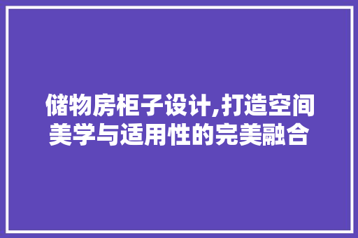 储物房柜子设计,打造空间美学与适用性的完美融合