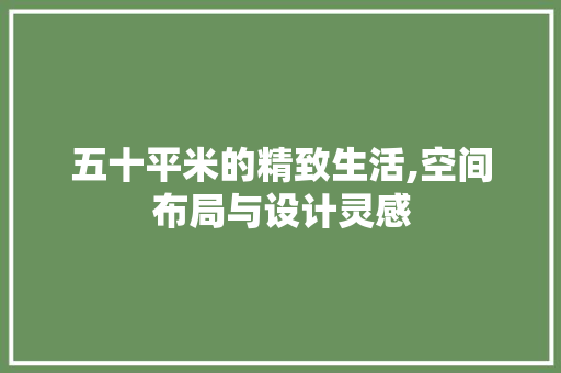 五十平米的精致生活,空间布局与设计灵感
