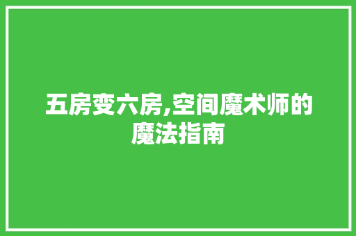 五房变六房,空间魔术师的魔法指南
