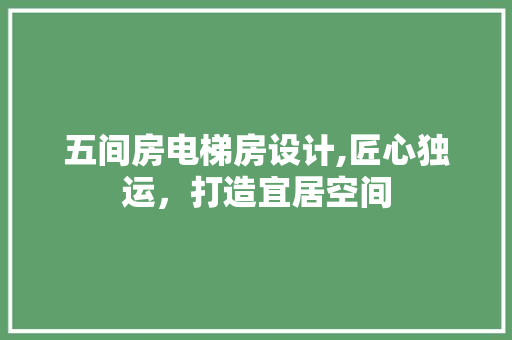 五间房电梯房设计,匠心独运，打造宜居空间