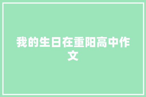 优化洗碗房设计，提升餐厅效率与卫生标准