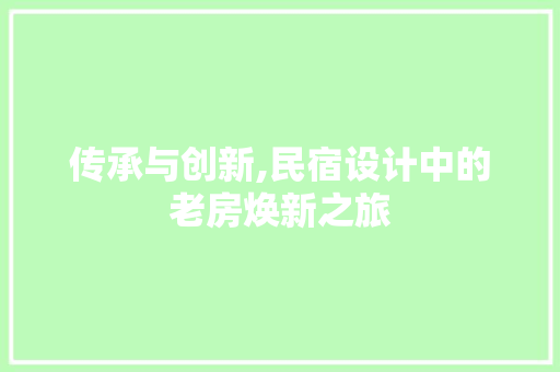 传承与创新,民宿设计中的老房焕新之旅