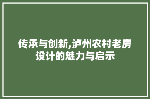 传承与创新,泸州农村老房设计的魅力与启示