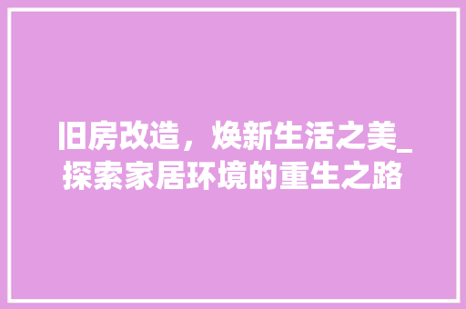 旧房改造，焕新生活之美_探索家居环境的重生之路