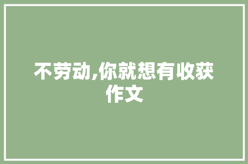 儿童房设计,打造温馨童趣空间的艺术之旅