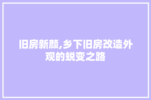 旧房新颜,乡下旧房改造外观的蜕变之路