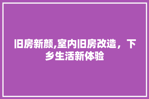 旧房新颜,室内旧房改造，下乡生活新体验