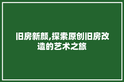 旧房新颜,探索原创旧房改造的艺术之旅