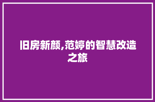 旧房新颜,范婷的智慧改造之旅