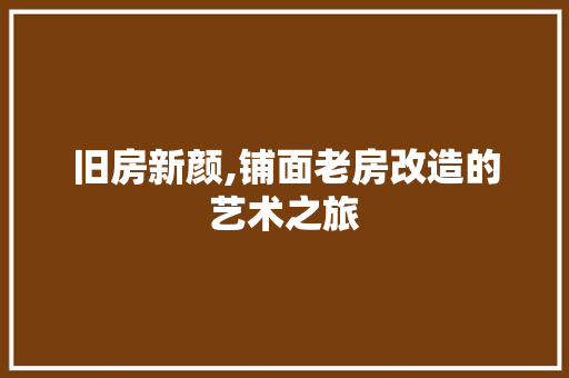 旧房新颜,铺面老房改造的艺术之旅