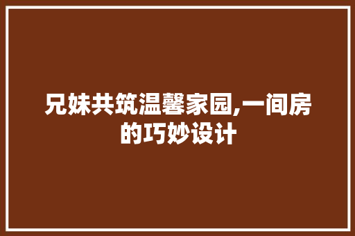 兄妹共筑温馨家园,一间房的巧妙设计