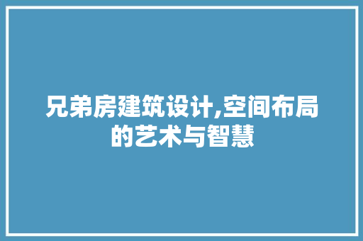 兄弟房建筑设计,空间布局的艺术与智慧