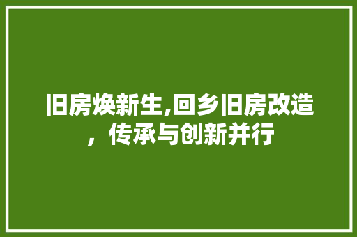 旧房焕新生,回乡旧房改造，传承与创新并行