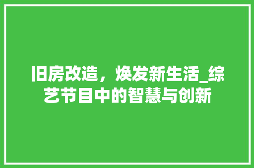 旧房改造，焕发新生活_综艺节目中的智慧与创新