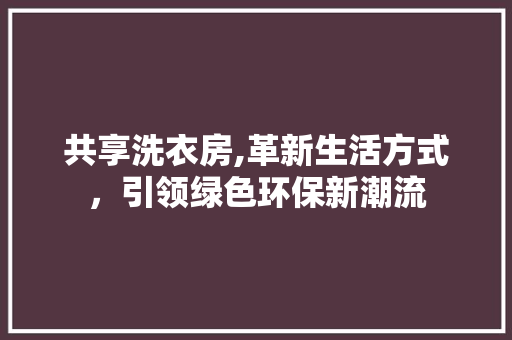 共享洗衣房,革新生活方式，引领绿色环保新潮流