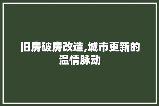 旧房破房改造,城市更新的温情脉动