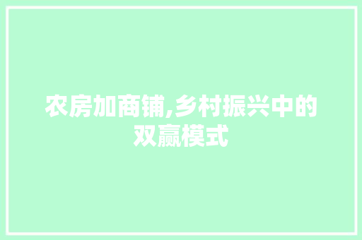 农房加商铺,乡村振兴中的双赢模式