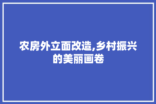 农房外立面改造,乡村振兴的美丽画卷