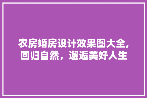 农房婚房设计效果图大全,回归自然，邂逅美好人生