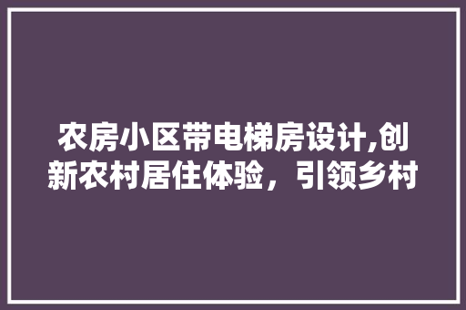 农房小区带电梯房设计,创新农村居住体验，引领乡村振兴新潮流