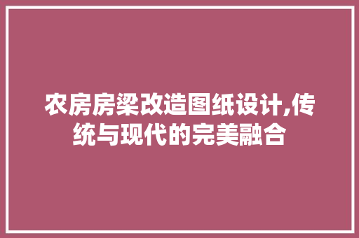 农房房梁改造图纸设计,传统与现代的完美融合