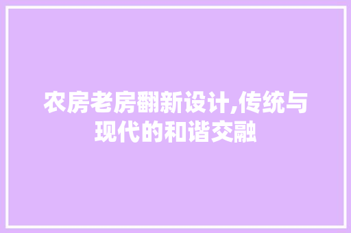 农房老房翻新设计,传统与现代的和谐交融