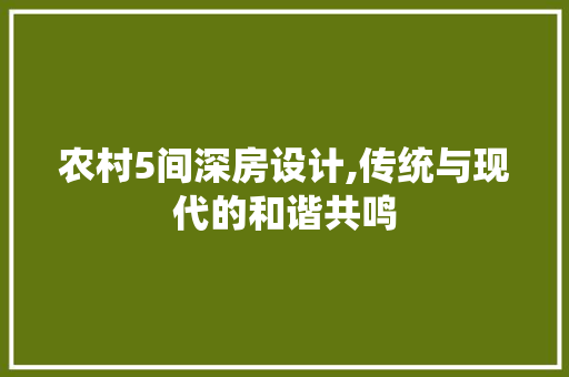 农村5间深房设计,传统与现代的和谐共鸣