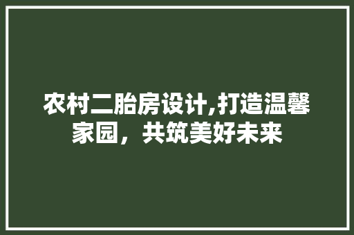 农村二胎房设计,打造温馨家园，共筑美好未来