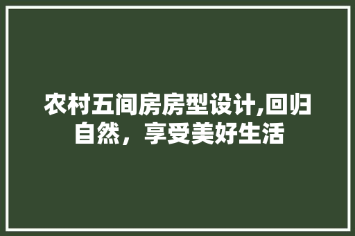 农村五间房房型设计,回归自然，享受美好生活