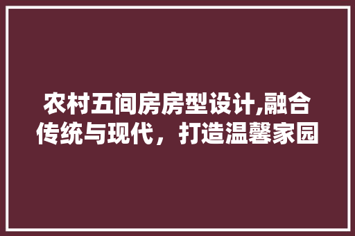 农村五间房房型设计,融合传统与现代，打造温馨家园