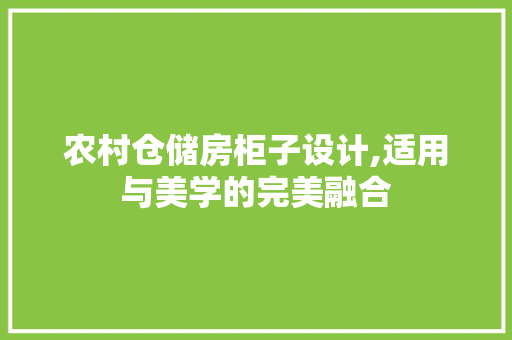 农村仓储房柜子设计,适用与美学的完美融合