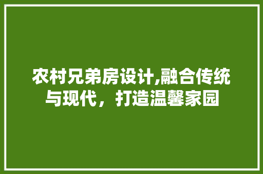 农村兄弟房设计,融合传统与现代，打造温馨家园