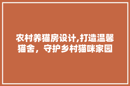 农村养猫房设计,打造温馨猫舍，守护乡村猫咪家园