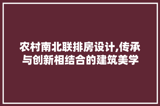 农村南北联排房设计,传承与创新相结合的建筑美学