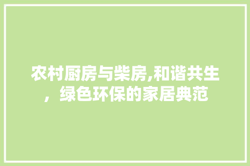 农村厨房与柴房,和谐共生，绿色环保的家居典范