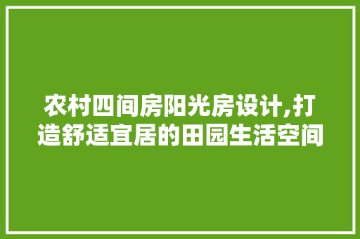 农村四间房阳光房设计,打造舒适宜居的田园生活空间