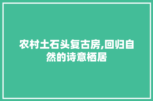 农村土石头复古房,回归自然的诗意栖居
