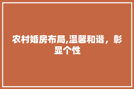 农村婚房布局,温馨和谐，彰显个性