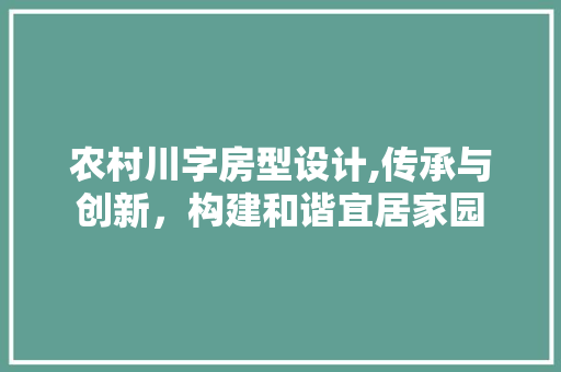 农村川字房型设计,传承与创新，构建和谐宜居家园