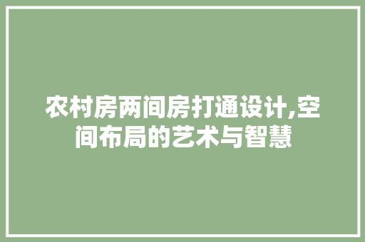 农村房两间房打通设计,空间布局的艺术与智慧