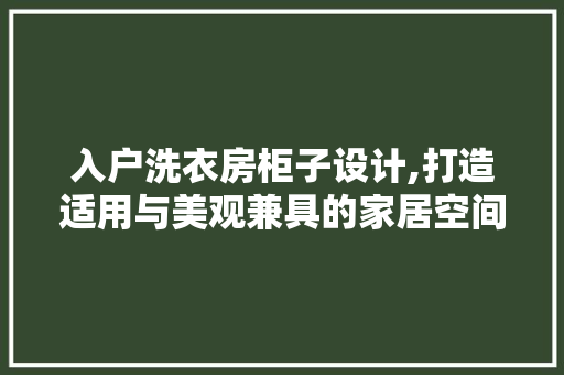入户洗衣房柜子设计,打造适用与美观兼具的家居空间