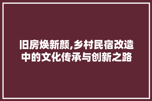 旧房焕新颜,乡村民宿改造中的文化传承与创新之路
