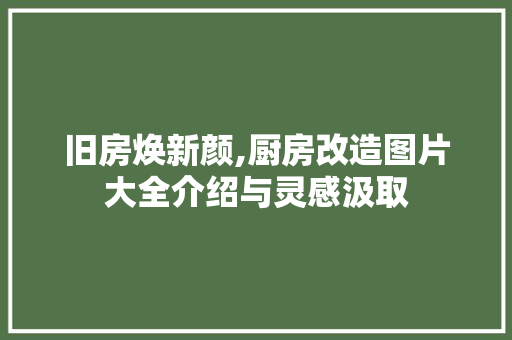 旧房焕新颜,厨房改造图片大全介绍与灵感汲取