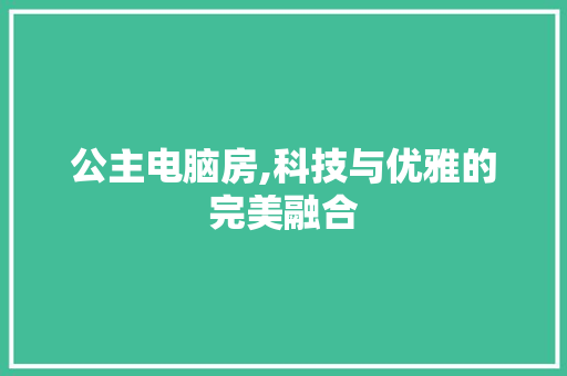 公主电脑房,科技与优雅的完美融合