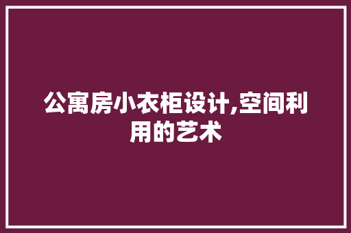 公寓房小衣柜设计,空间利用的艺术