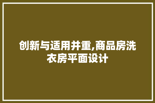 创新与适用并重,商品房洗衣房平面设计