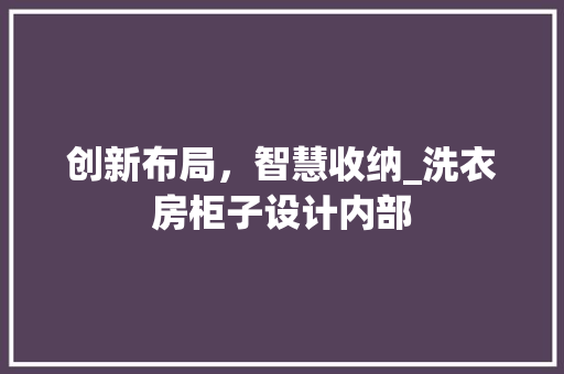 创新布局，智慧收纳_洗衣房柜子设计内部