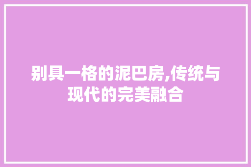 别具一格的泥巴房,传统与现代的完美融合
